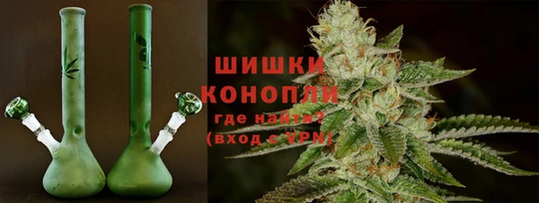 молекула духа Белокуриха