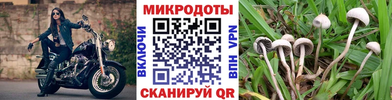 Псилоцибиновые грибы мухоморы  площадка Telegram  Туймазы 